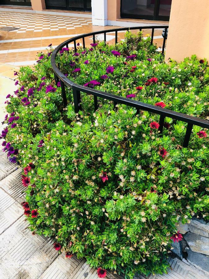 Apartamento Ocean View Costa Adeje (Tenerife) Exterior foto